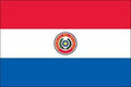 Country Flag 3x5 Paraguay
