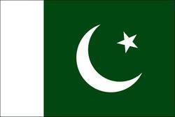 Country Flag 3x5 Pakistan
