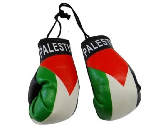 Country Boxing Gloves Set Palestine