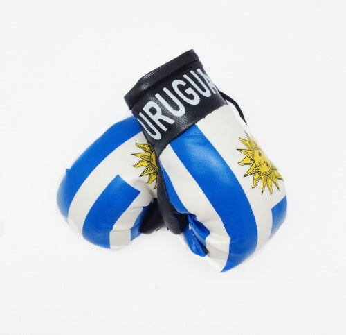 Country Boxing Gloves Set Uruguay