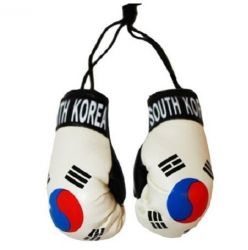 Country Boxing Gloves Set South Korea