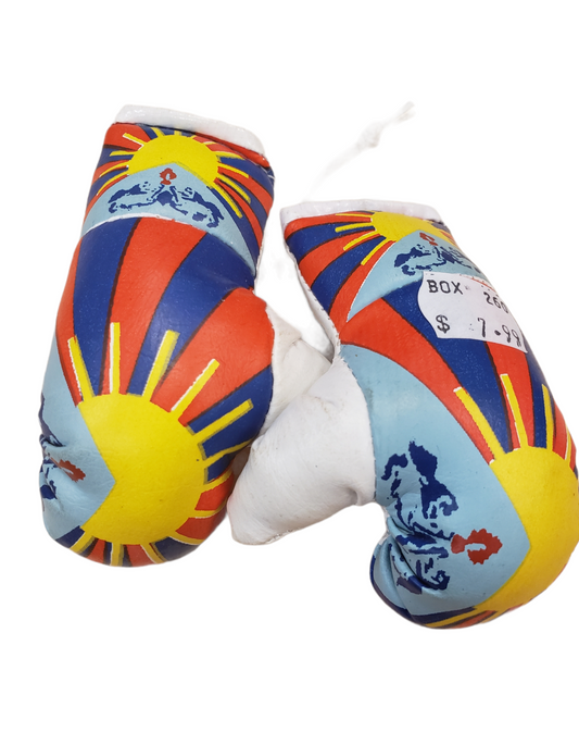 Country Boxing Gloves Set Tibet (Small)
