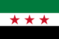 Country Flag 3x5 Syria (2024-Current)
