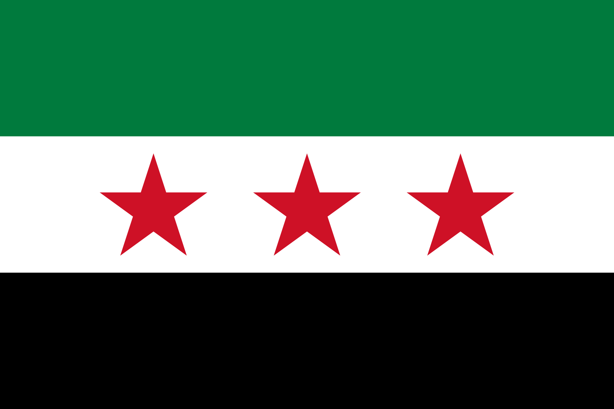 Country Flag 3x5 Syria (2024-Current)