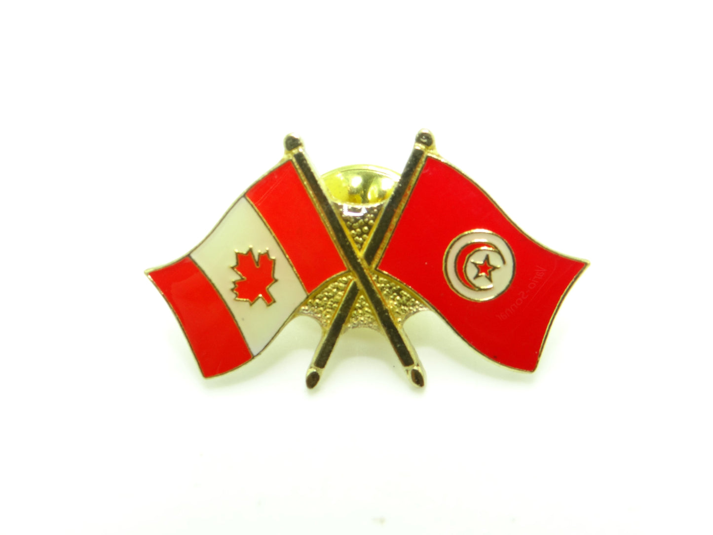 Country Lapel Pin Friendship Tunisia