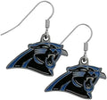 NFL Earrings Panthers