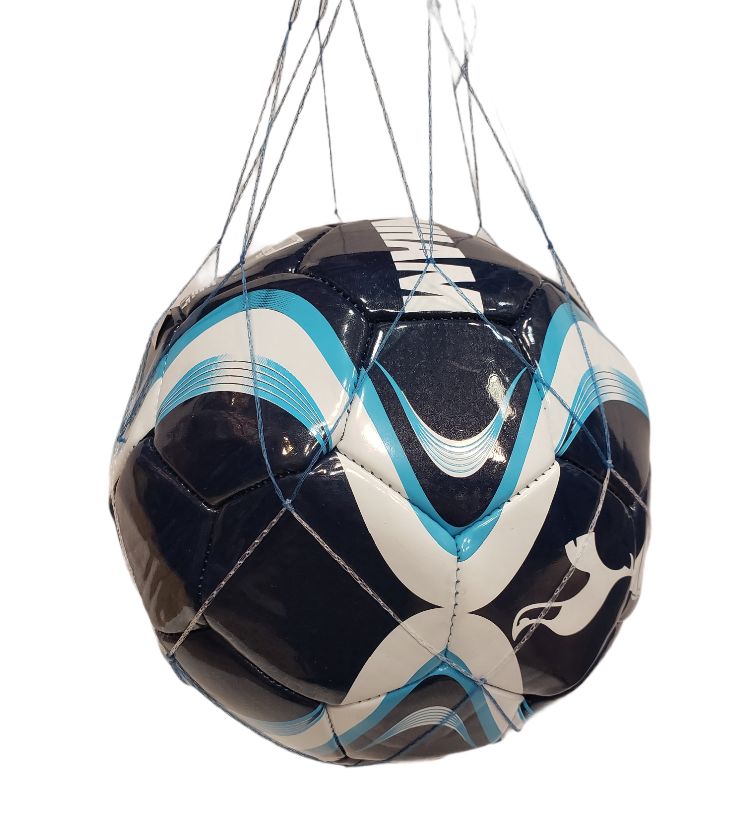 Soccerball Net