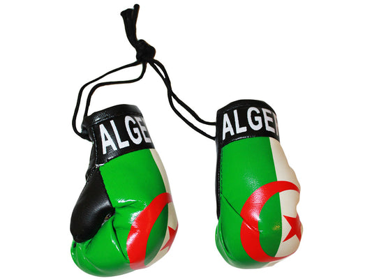 Country Boxing Gloves Set Algeria