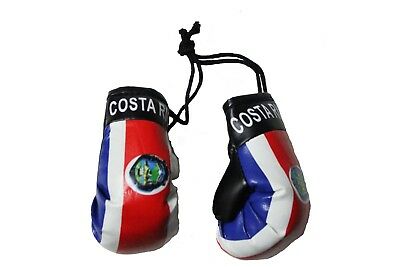Country Boxing Gloves Set Costa Rica
