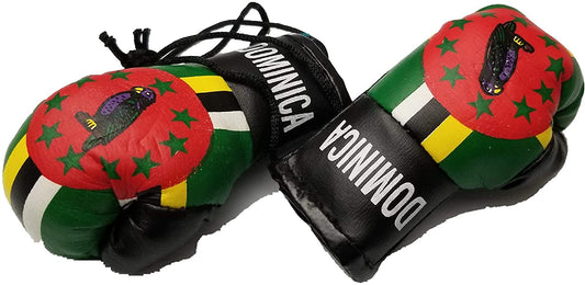 Country Boxing Gloves Set Dominica