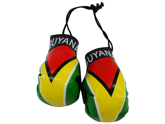 Country Boxing Gloves Set Guyana