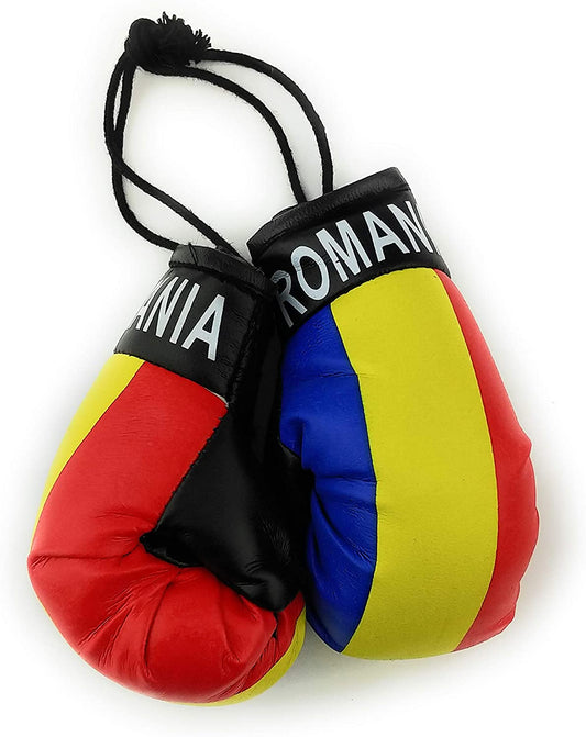 Country Boxing Gloves Set Romania