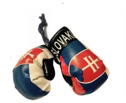 Country Boxing Gloves Set Slovakia