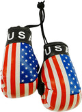 Country Boxing Gloves Set USA