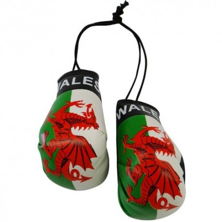Country Boxing Gloves Set Wales
