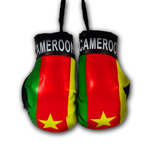 Country Boxing Gloves Set Cameroon