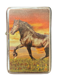 Star Lighter Horse In Field