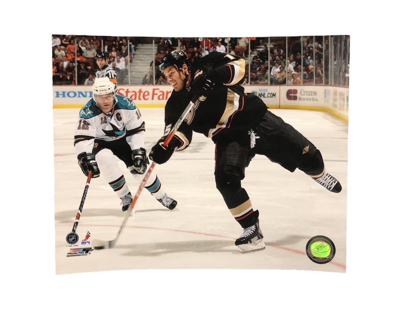 NHL 8x10 Player Photograph Horizontal Ryan Getzlaf Ducks