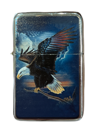 Star Lighter Eagle Flying
