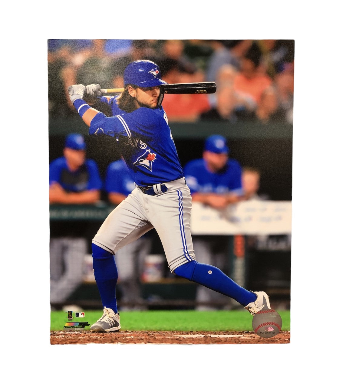 MLB 8x10 Player Photograph Alt Bo Bichette Blue Jays