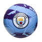 EPL Soccer Ball Brush Manchester City FC