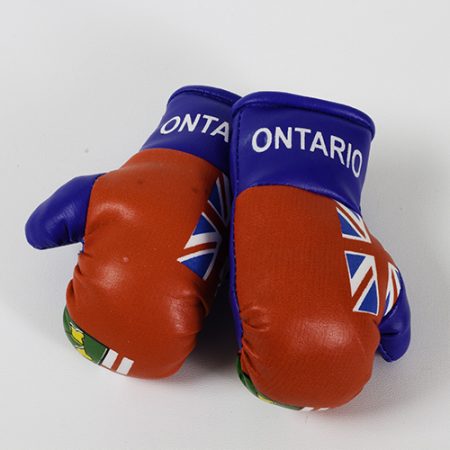 Provincial Boxing Gloves Set Ontario