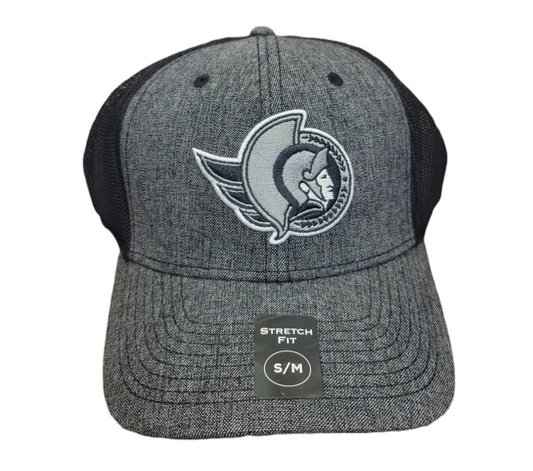 NHL Hat Stretch Fit Poly Heathered Tonal Senators