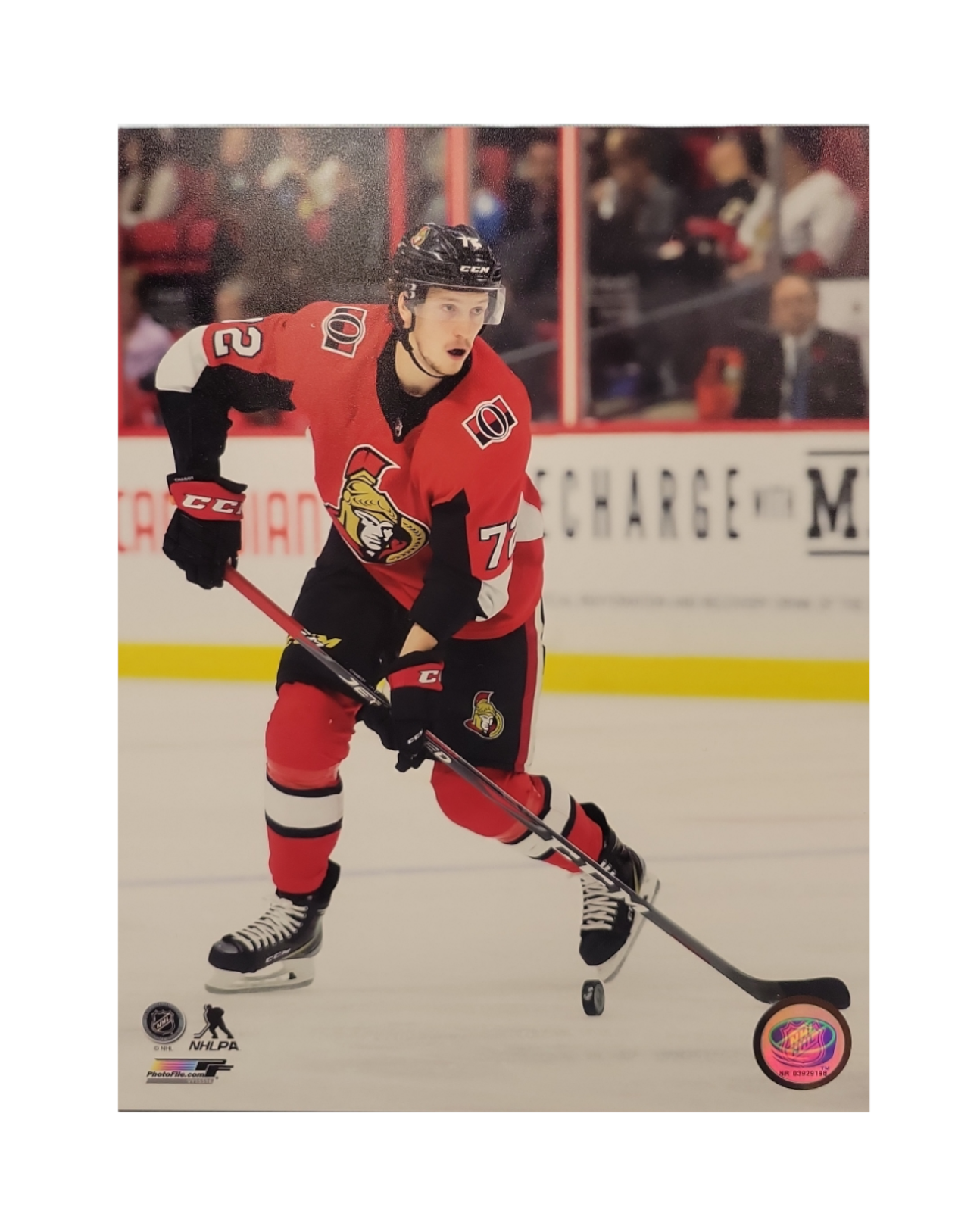 NHL 8x10 Player Photograph Home Thomas Chabot Senators