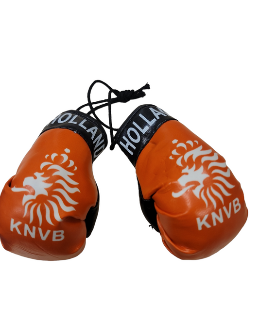 Country Boxing Gloves Set Holland