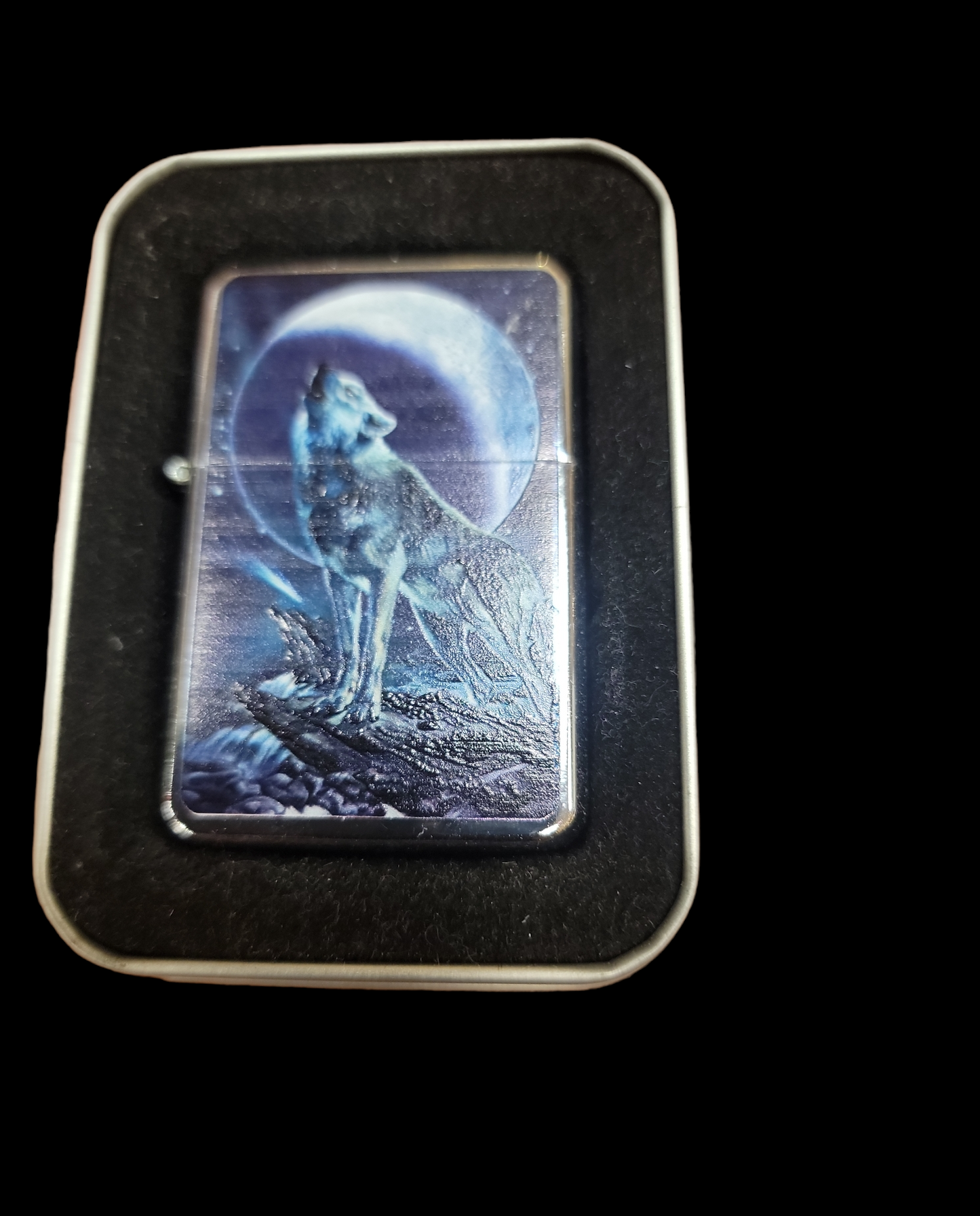 Star Lighter Wolf on Rocks