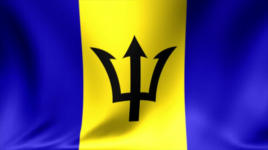 Country Flag 3x5 Barbados