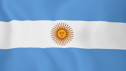 Country Flag 3x5 Argentina