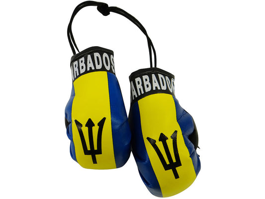 Country Boxing Gloves Set Barbados