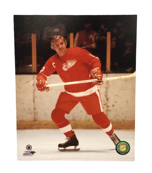 NHL 8x10 Vintage Player Photograph Alex Delvecchio Red Wings