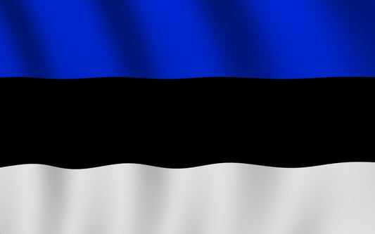 Country Flag 3X5 Estonia