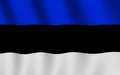 Country Flag 3x5 Estonia