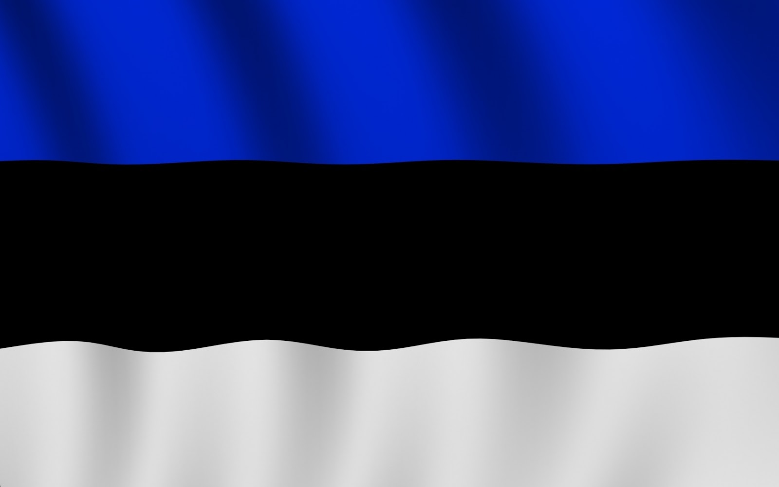 Country Flag 3x5 Estonia