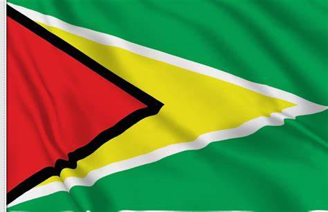 Country Flag 3x5 Guyana