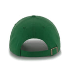 NHL Hat Blue Line Vintage North Stars