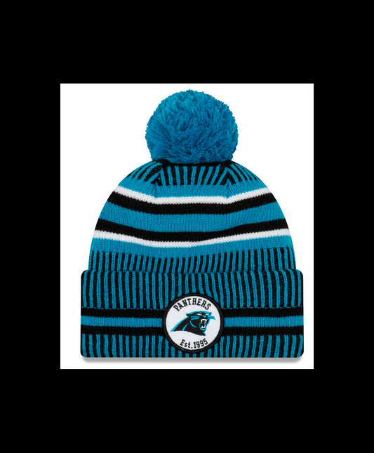 NFL Knit Hat 2019 Sport Home Panthers