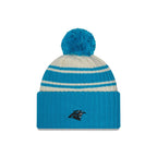 NFL Knit Hat 2022 Sport Panthers