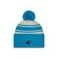 NFL Youth Knit Hat 2022 Sport Panthers