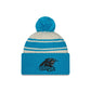 NFL Youth Knit Hat 2022 Sport Panthers