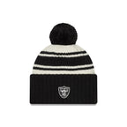 NFL Knit Hat 2022 Sport Raiders
