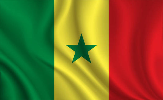 Country Flag 3x5 Senegal