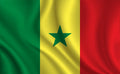 Country Flag 3x5 Senegal