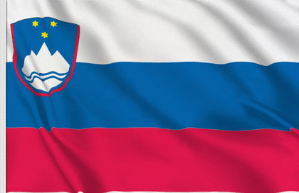 Country Flag 3x5 Slovenia