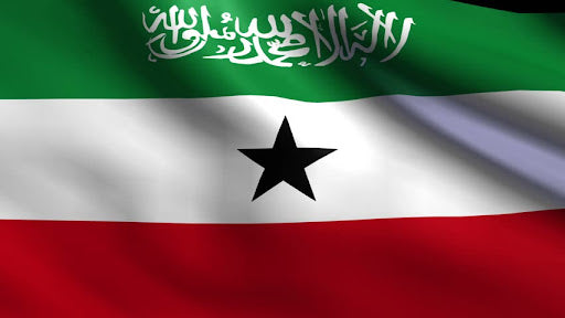 Country Flag 3x5 Somaliland