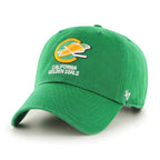 NHL Hat Clean Up Basic Vintage Golden Seals