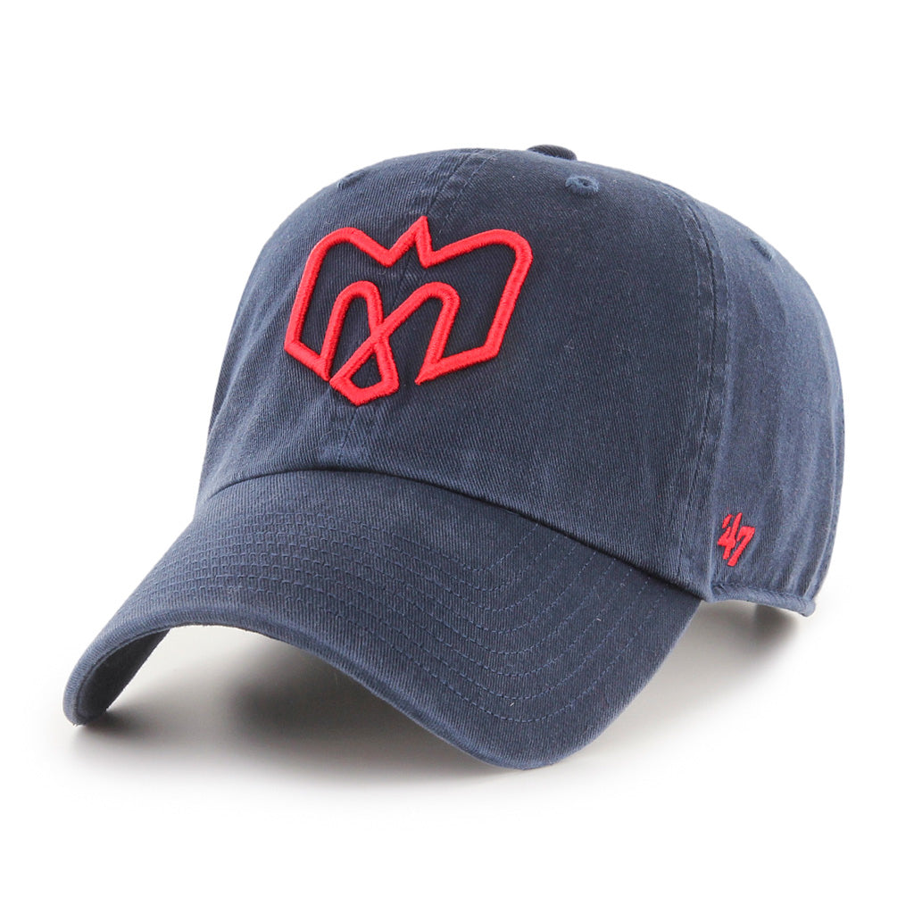CFL Hat Clean Up Basic Alouettes